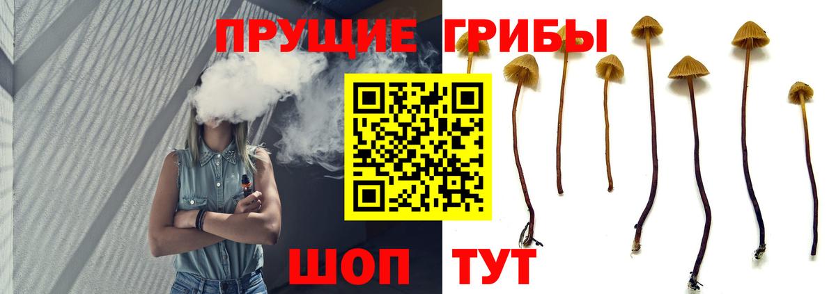 Усть-Илимск  Псилоцибиновые грибы мухоморы  Вход с VPN  Галлюциногенные грибы GOLDEN TEACHER 